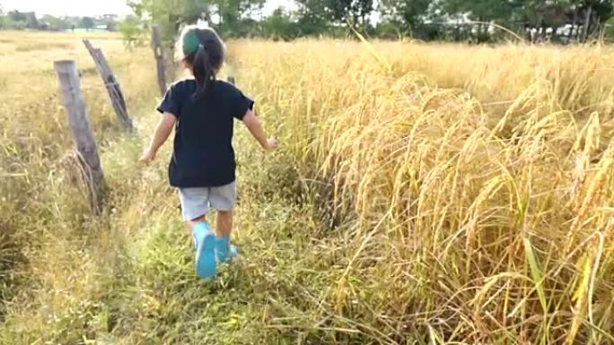 小女孩在稻田里跑步慢动作