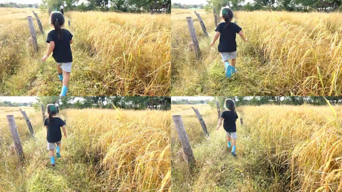 小女孩在稻田里跑步慢动作