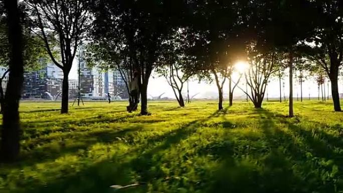 女孩在日落时在城市公园跑步，慢动作。光线穿过树木，相机运动
