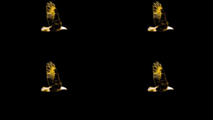 金黄色霓虹秃鹰飞行卡通无缝循环动画孤立在黑色背景-新质量独特手工动态欢乐七彩视频动物鸟镜头