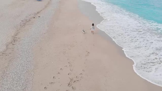 女人早上和她的狗在海滩上散步，空中无人机