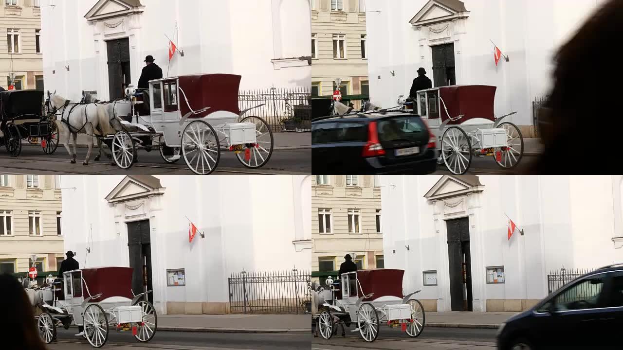 载着游客四处游荡的马车，奥地利维也纳