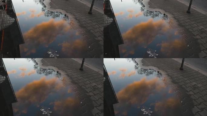 雨水坑反射晨云和天空