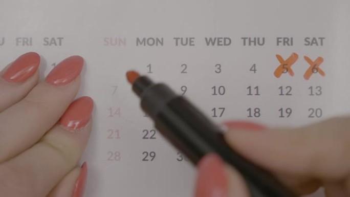 商业女性的俯视图跨越日历议程上的每月约会日期