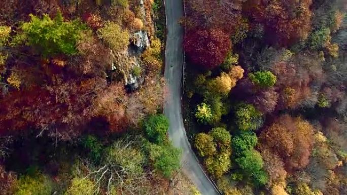 在五颜六色的乡村秋天森林中，高架空中俯视图跟随道路。秋天的橙色，绿色，黄色的红树树林。街道路径建立。