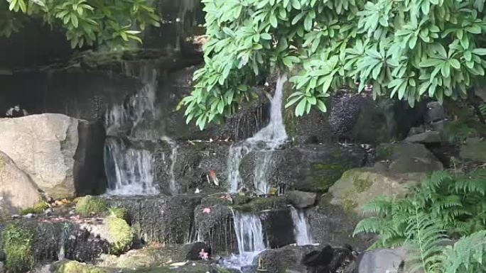 日本花园波特兰