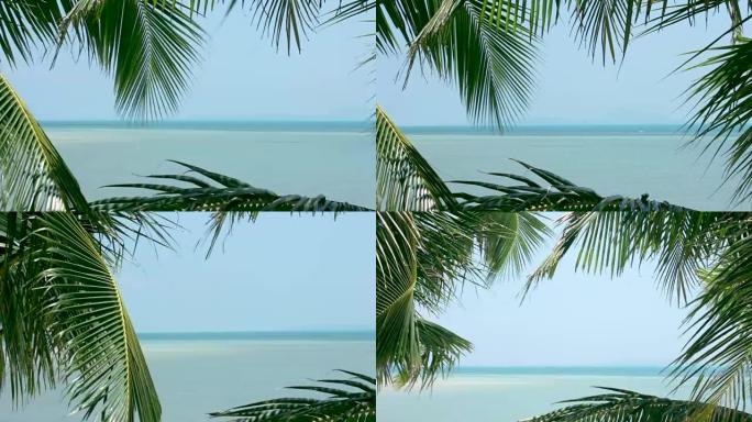 棕榈叶构筑的海景和蓝天，6张照片