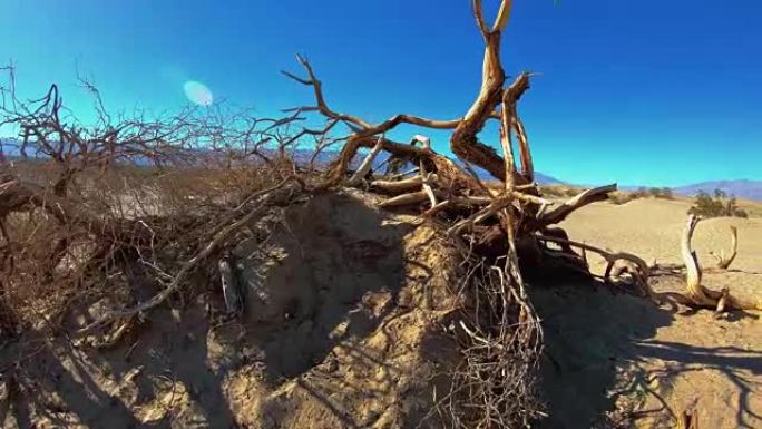 死亡谷的旱地-梅斯基尔沙丘