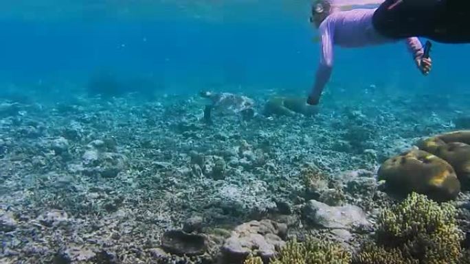穿着紫外线潜水服泳衣的女性浮潜者与玳瑁一起在通道中游泳。背景中海面上的克里岛。Raja Ampat，