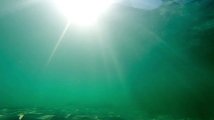 水下UHD素材。真实的水下场景分形波和光线，一个非常受欢迎的剪辑4k股票视频