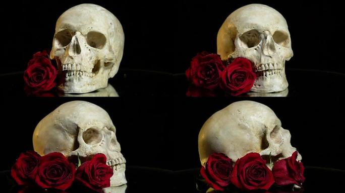 演示桌上的头骨和玫瑰