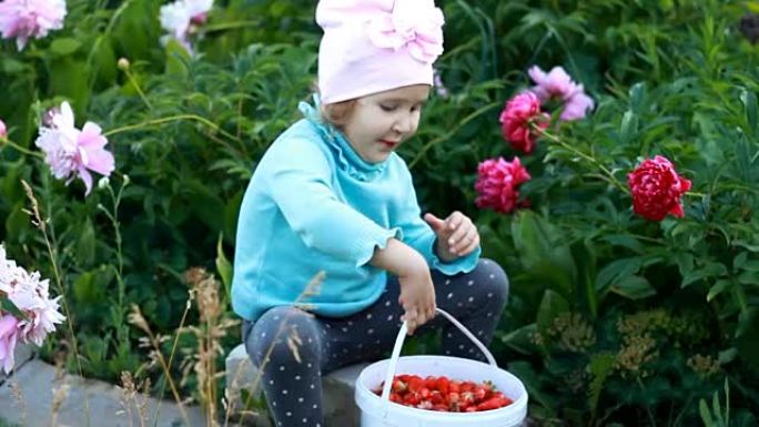 童女展示了收获的草莓作物。带有牡丹的农业和花园