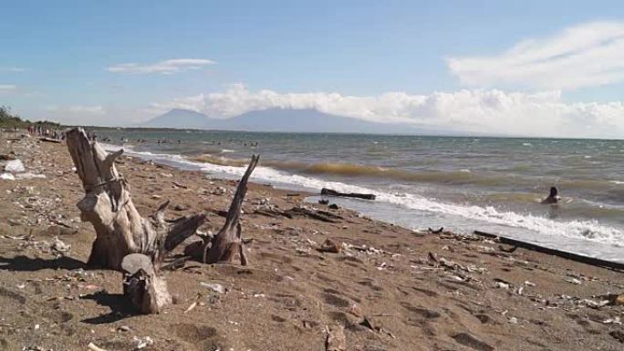 从海上铸造的漂流木躺在沙滩上