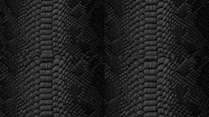 黑色蛇皮背景。特写。