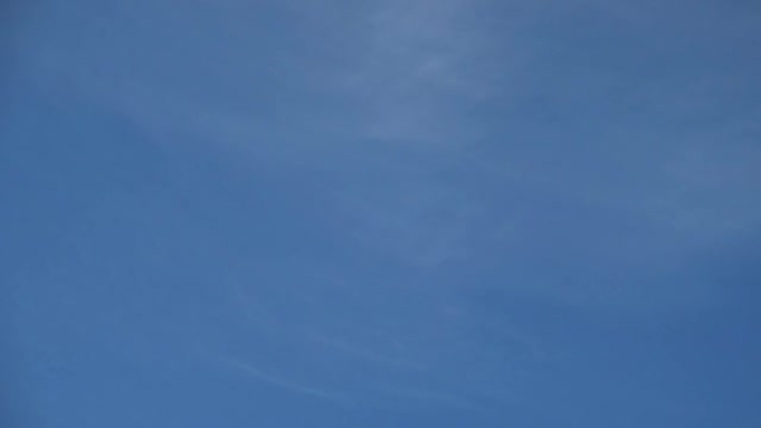 天空中的海鸥。慢动作。480 fps。