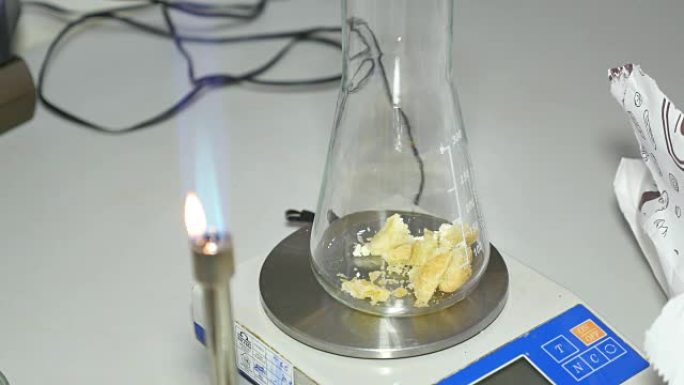 一个科学家在实验室里取了一些食物样本，并把它们放进一个锥型烧瓶里做进一步的测试