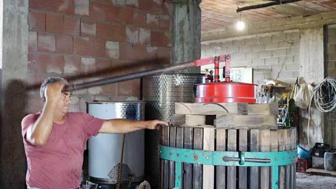 在意大利南部酿造自制葡萄酒: 酿酒师压榨葡萄