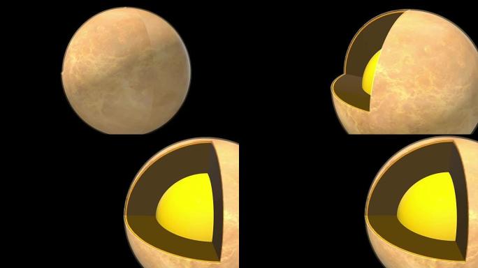 金星结构-内部示意图-向右