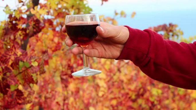 葡萄酒商和一杯葡萄酒。秋季品酒会