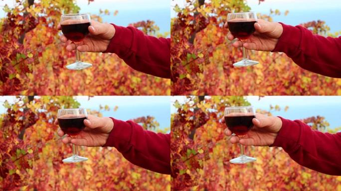 葡萄酒商和一杯葡萄酒。秋季品酒会