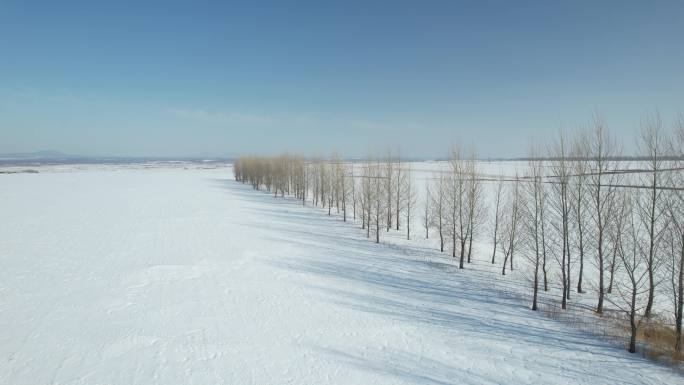 黑龙江五大连池平原雪原自然风光