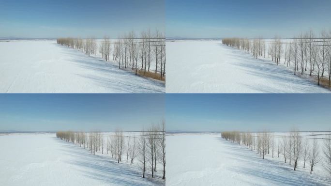 黑龙江五大连池平原雪原自然风光