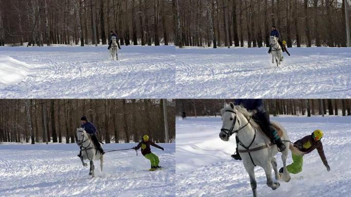 慢动作: 一个女孩骑着马疾驰。一匹马在绳子上拖着一个滑雪者。滑雪者在雪堆中骑在滑雪板上。女骑师和男滑