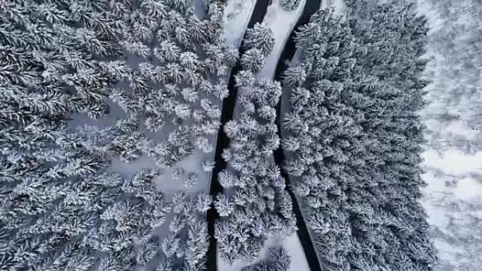 在山区积雪覆盖的冬季森林中，发夹弯转弯的高架俯视图。白松树树林。白雪街道路径建立。全高清无人机直飞建