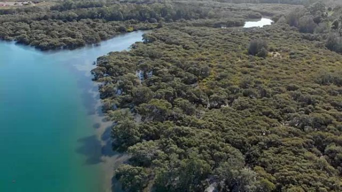 沿海河流湿地沿线的红树林空中无人机镜头