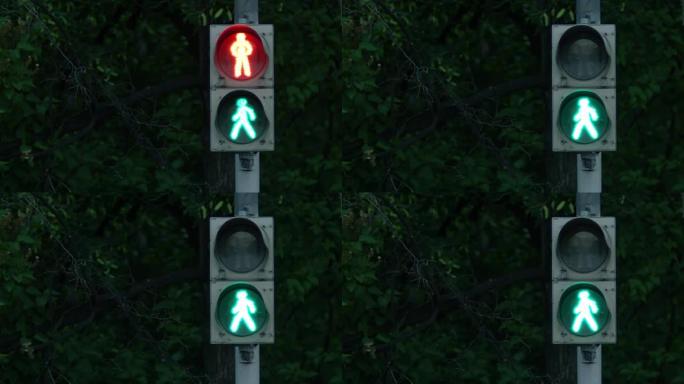 24、红绿灯用绿灯，安全行驶。城市里的交通灯。交通灯变色