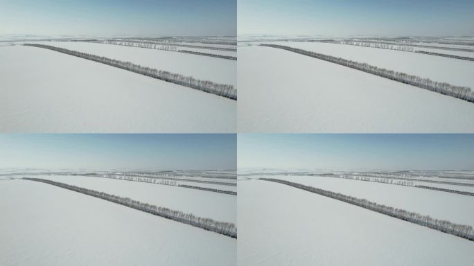 黑龙江五大连池平原林海雪原自然风光