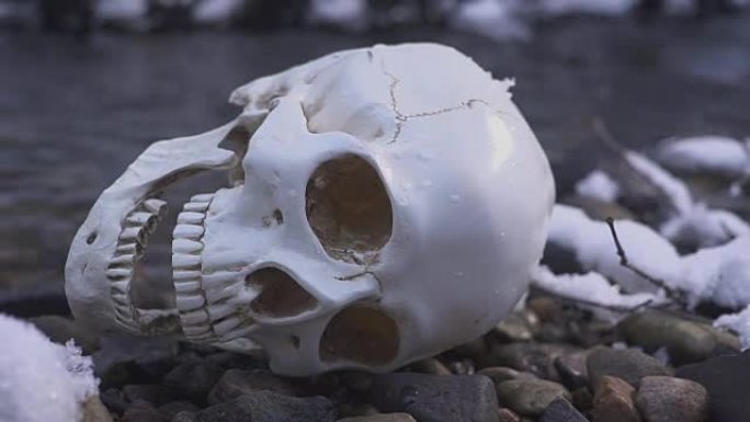 关闭河流中的头骨。水上死亡的概念