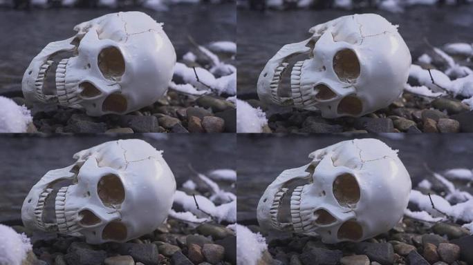 关闭河流中的头骨。水上死亡的概念