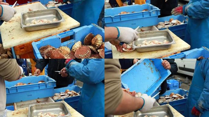 法国诺曼底的渔民正在清理新鲜的扇贝。传统的地区海鲜科奎圣雅克。海鲜，沿海城市的典型食品，渔业产业理念