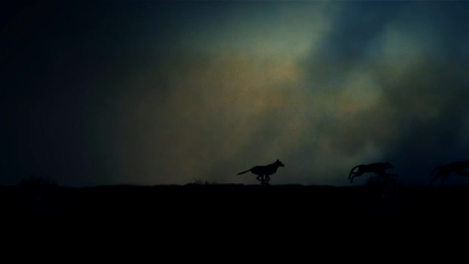 四只狼在闪电风暴中奔跑