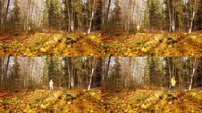 在秋天的森林中漫步