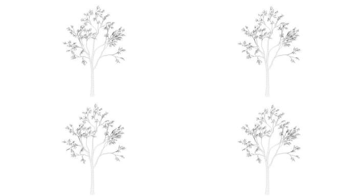 作为线框隔离的循环树动画的3d渲染