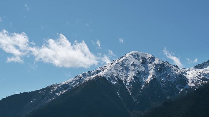 白马雪山自然保护区