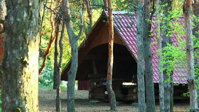 用原木建造的树林中的凉亭