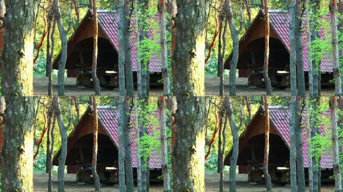 用原木建造的树林中的凉亭