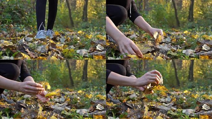 一个女人在树林里散步，欣赏黄色的秋叶，并从它们身上收集一束。