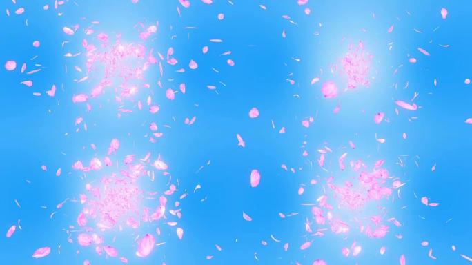 樱花花瓣落在蓝色背景上，循环闪光动画，