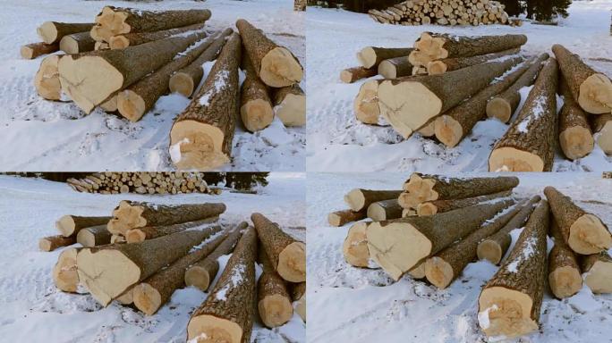 雪地上的一堆原木