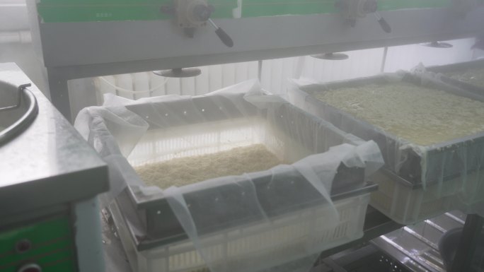 豆腐制作 车间 企业 绿色生产 乐都区