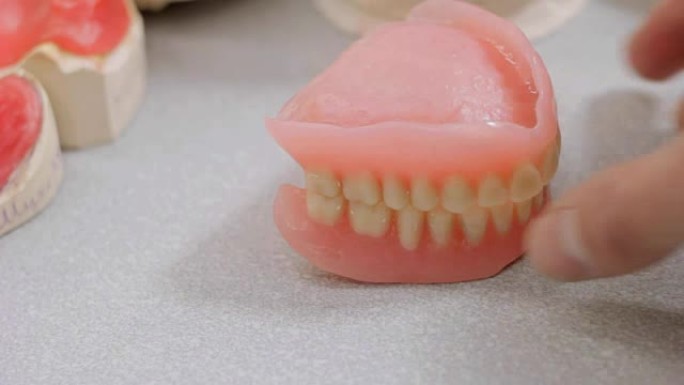咬合假牙，颌骨模型