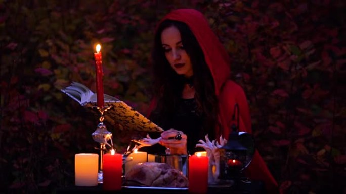 迷人的美丽黑发女巫穿着红色斗篷在神秘的秋天森林中让人联想到。带有心脏，鸡腿和豪猪针的巫术