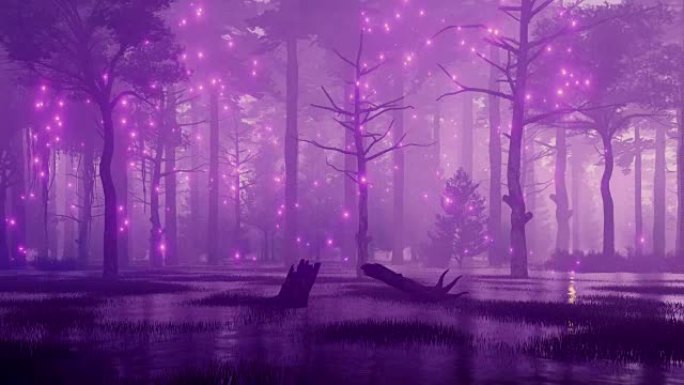 童话沼泽夜森林中的神秘灯光
