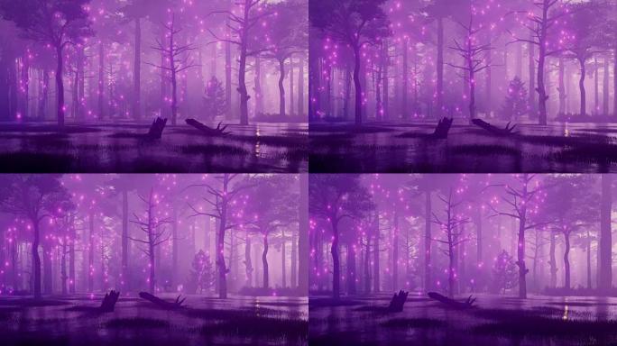 童话沼泽夜森林中的神秘灯光