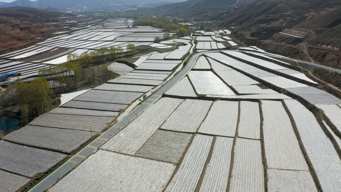 覆盖地膜 耕地保护  地膜农田