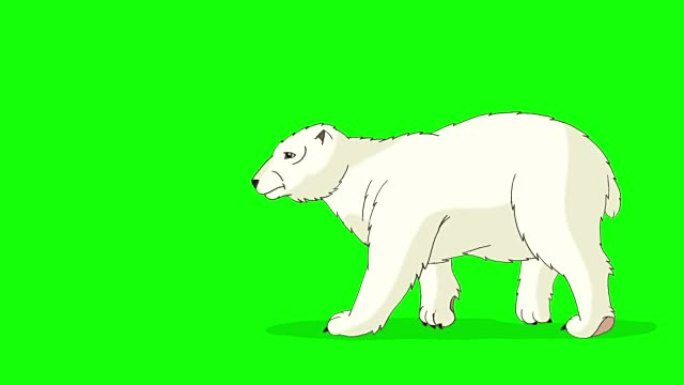 北极熊行走色度